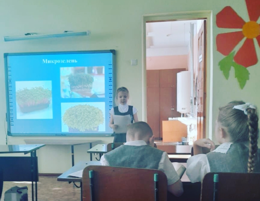 Городской конкурс исследовательских проектов.