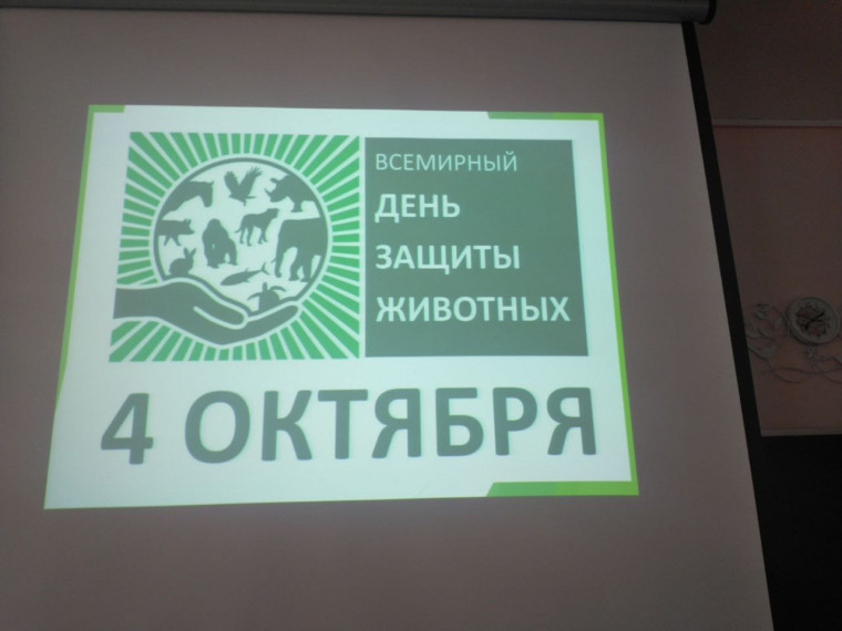4 октября День защиты животных.